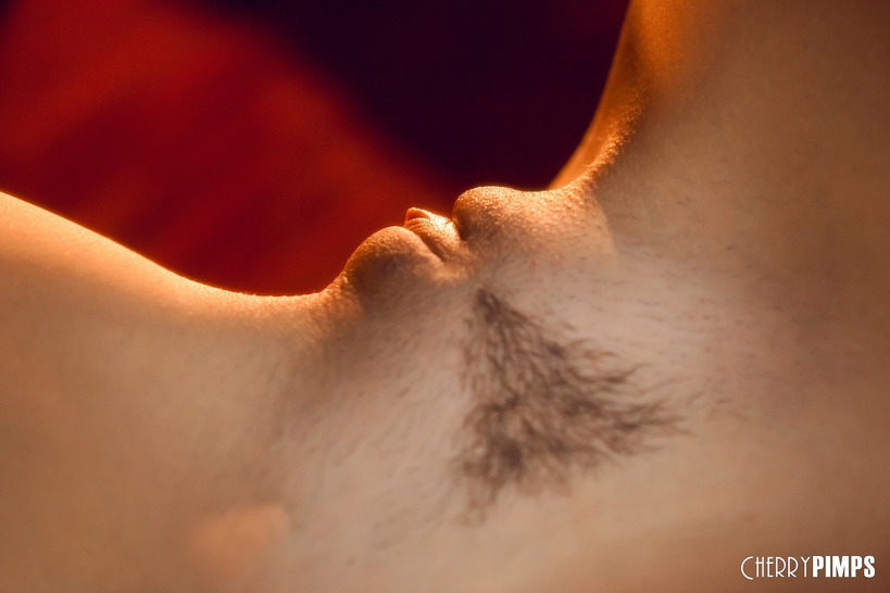 An Intimate Evening (21/21)