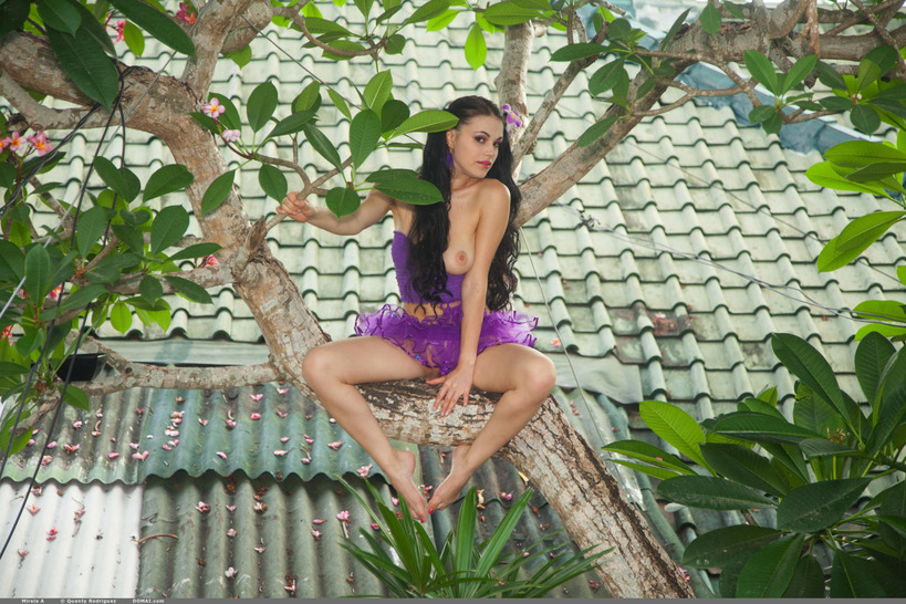 Mirela A Little Orchid On The Tree (4/19)