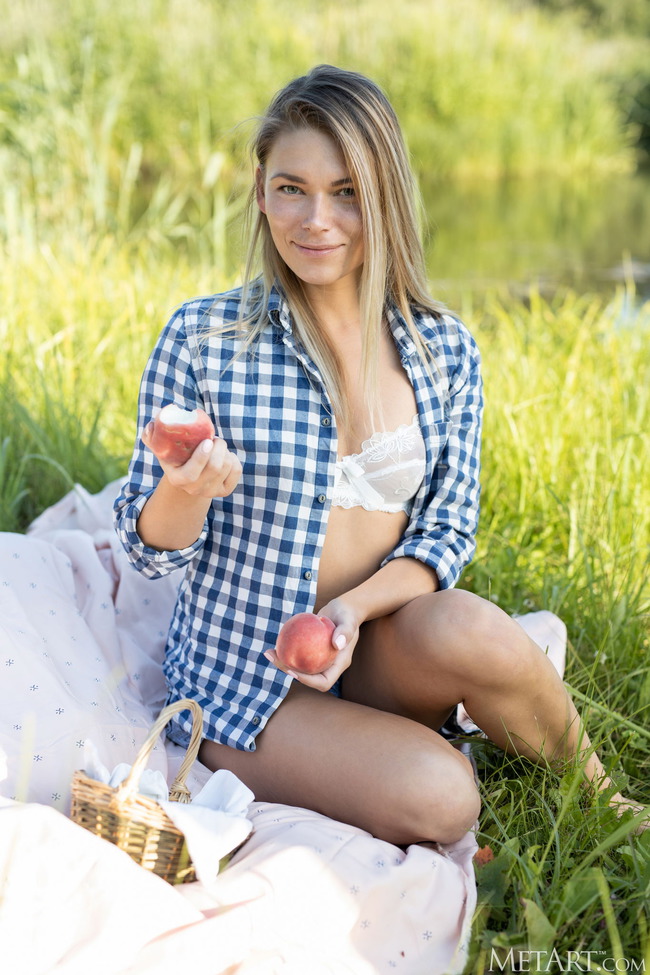 Summer Picnic (1/18)